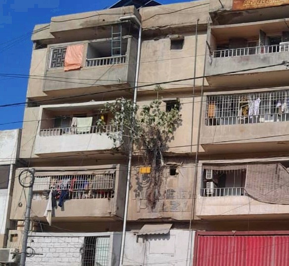 A large tree growing out of the side of a concrete building